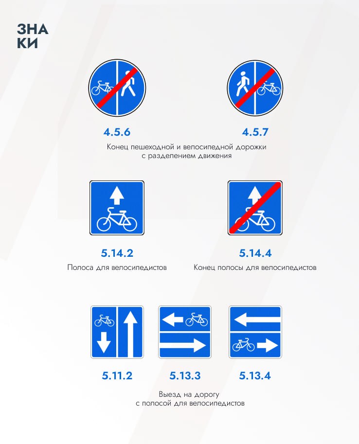 В Подмосковье велосипедный сезон в самом разгаре