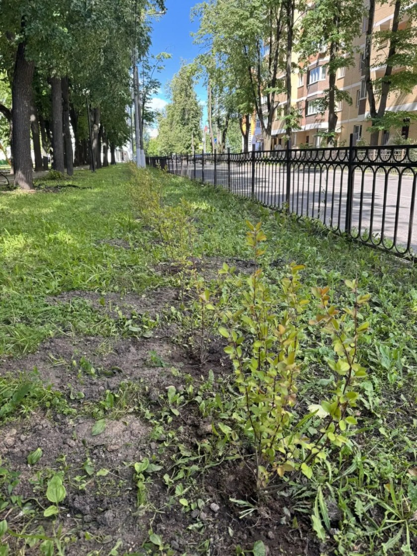 Сквер на Советской продолжает преображаться — и всё благодаря вам, уважаемые жители!