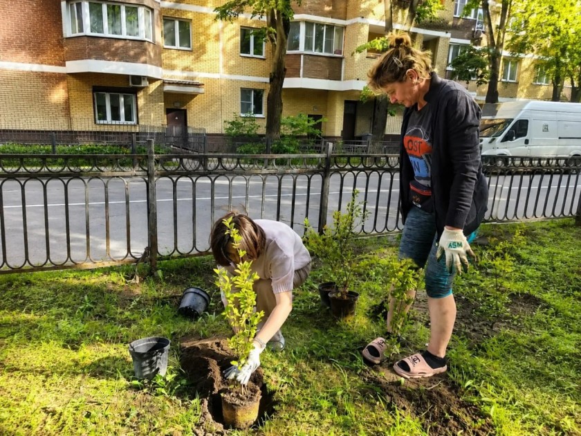 Сквер на Советской продолжает преображаться — и всё благодаря вам, уважаемые жители!