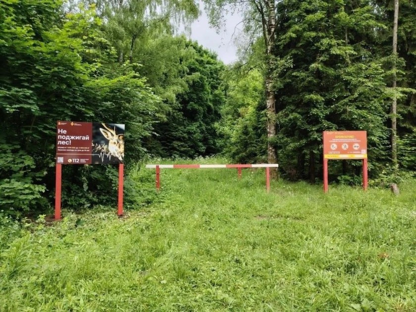 В Красногорске активно ведутся работы по противопожарному обустройству лесов