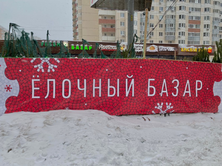 Новогодние ёлочные базары открылись в Красногорске