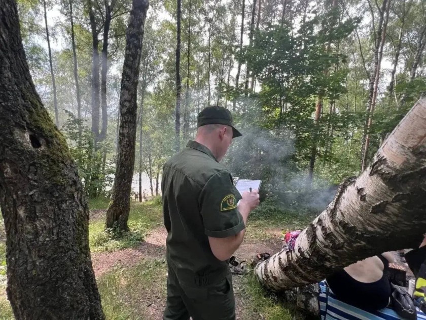 145 нарушений лесного законодательства выявлено в первом полугодии