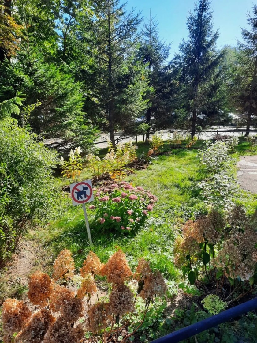 Преврати свой двор в победителя - успей подать заявку на конкурс «Лучший двор»