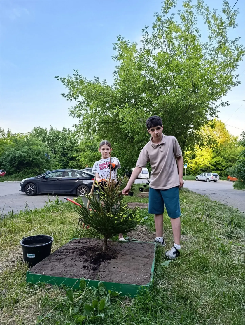 Озеленение во дворе: итоги совместной работы