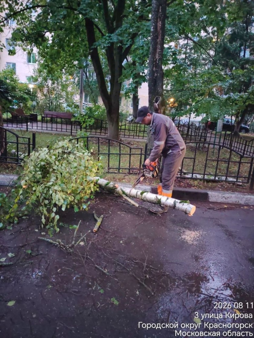 В округе продолжается ликвидация последствий непогоды. Сотрудники городских служб устраняют последствия проливного дождя - убирают упавшие деревья и обломанные ветки