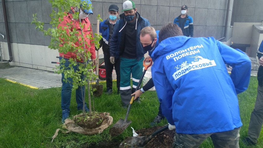Активисты «Единой России» высадили деревья в Красногорске