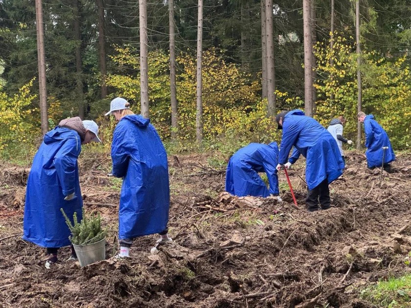 Для будущих поколений - более 1 тысячи саженцев ели посадили в Красногорске