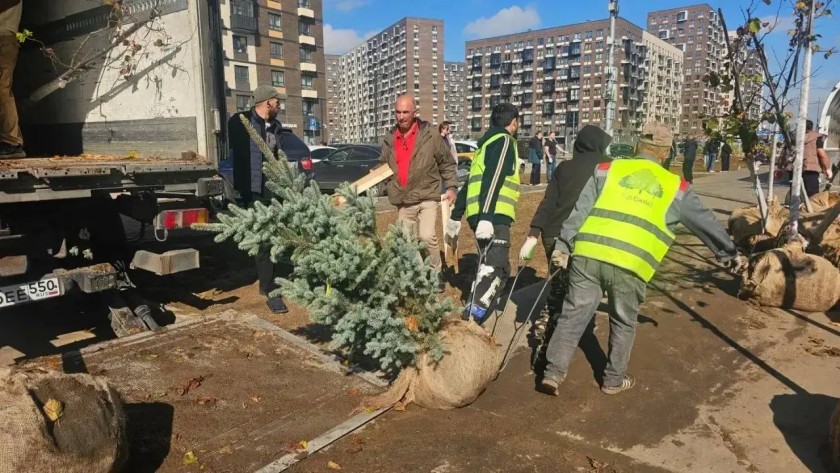 Благоустройство - дело общее!