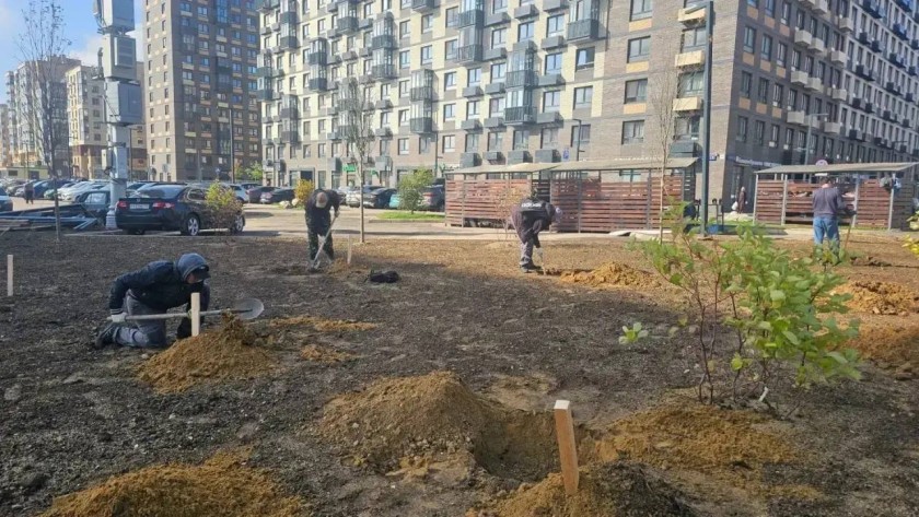 Благоустройство - дело общее!
