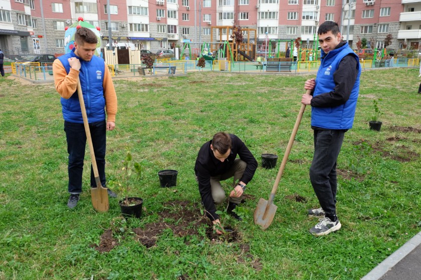 В Красногорске продолжается акция «Наш лес. Посади свое дерево»