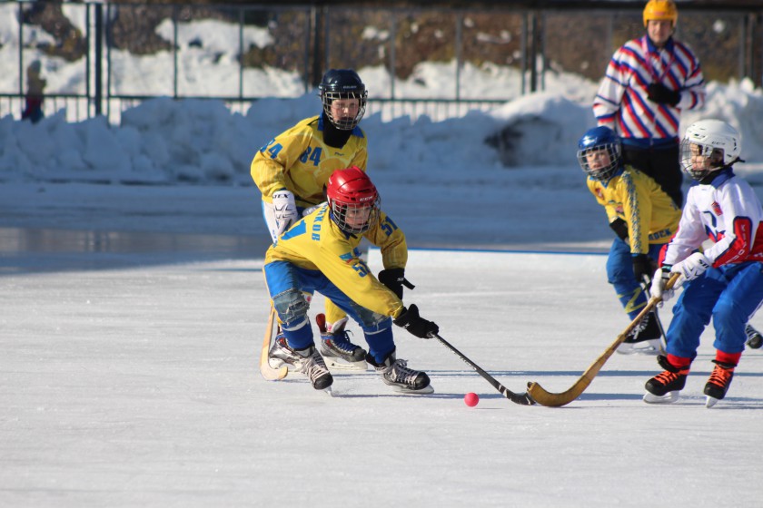 В Красногорске прошёл турнир по хоккею с мячом