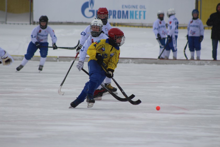 Красногорские хоккеисты победили в домашних матчах Первенства Московской области по хоккею с мячом