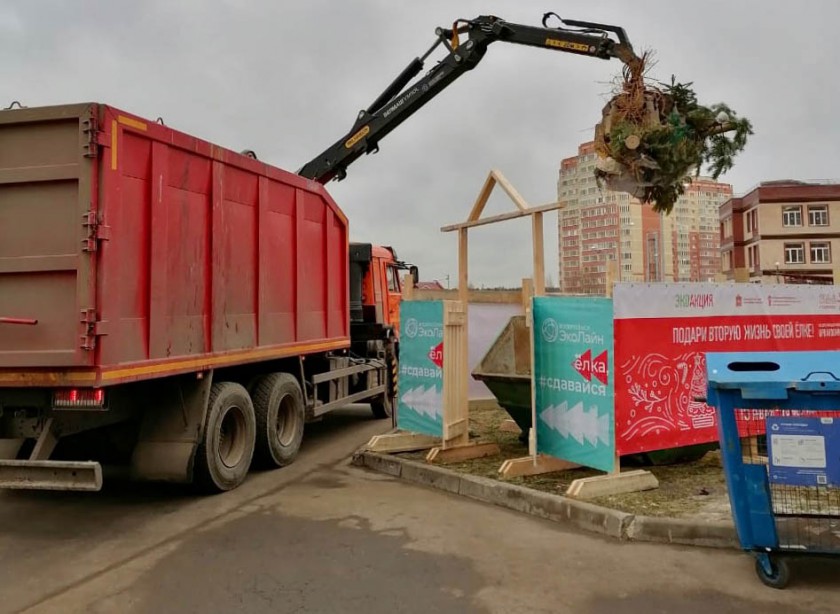 Более 23 тыс елок сдали жители Подмосковья в рамках эко-акции «Подари вторую жизнь своей елке!» - Антон Велиховский