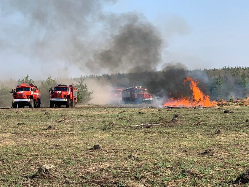 В Московской области приняты меры для снижения рисков возникновения масштабных природных пожаров