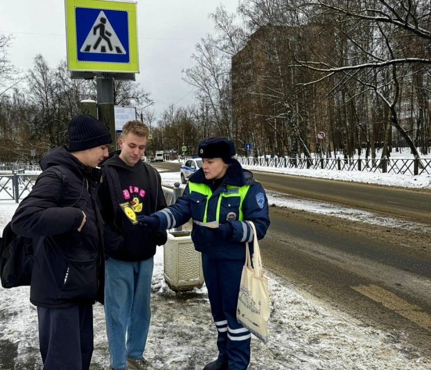 Сотрудники подмосковной Госавтоинспекции напомнили пешим участниками дорожного движения о строгом соблюдении ПДД