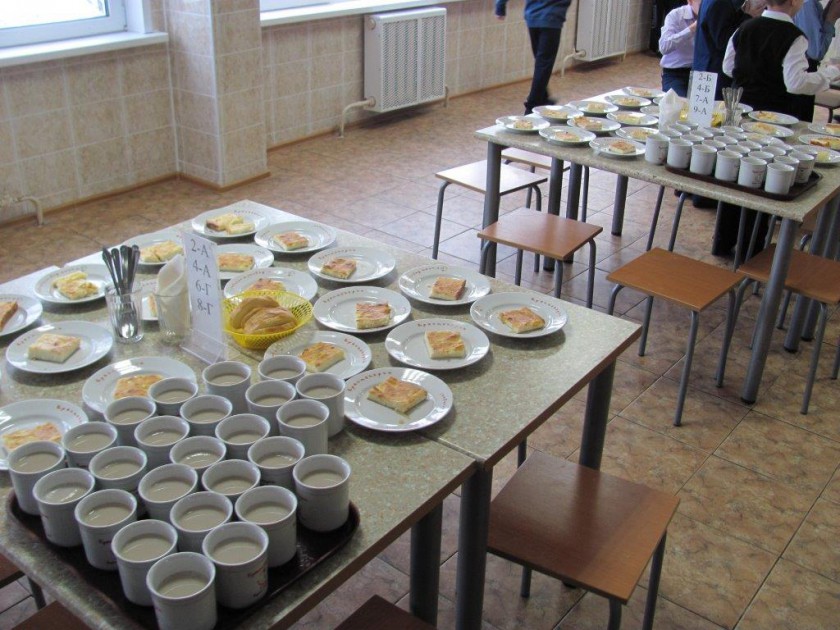 Члены Общественной палаты начали проверку питания в школах