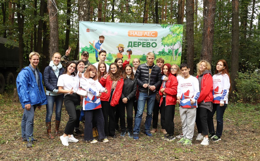 Традиционная акция «Наш лес» прошла в Красногорске
