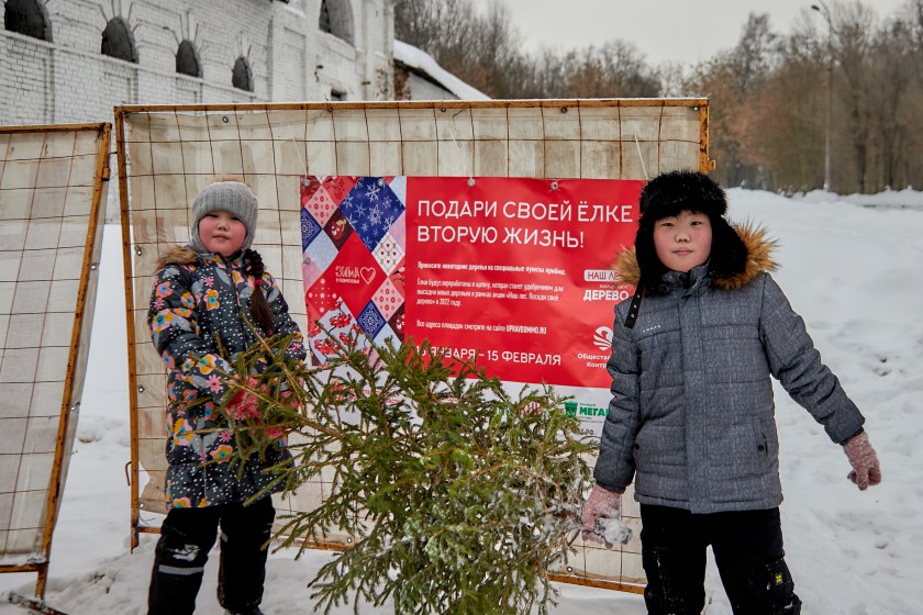 В Красногорске можно сдать ель на утилизацию