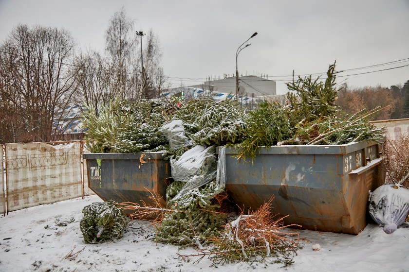 В Красногорске подвели итоги экоакции «Подари своей елке вторую жизнь»