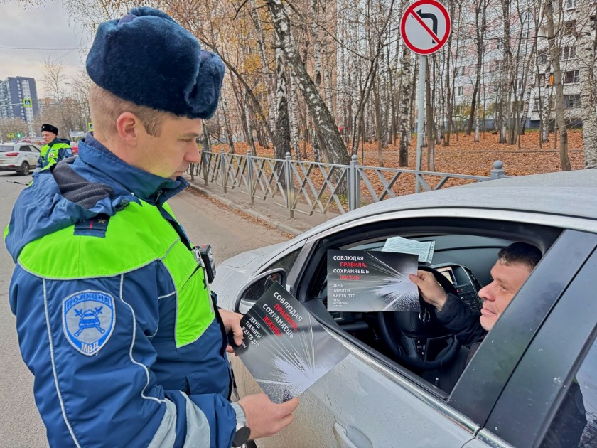 СОТРУДНИКИ ПОДМОСКОВНОЙ ГОСАВТОИНСПЕКЦИИ ПРОВЕЛИ СОЦИАЛЬНУЮ АКЦИЮ, ПРИУРОЧЕННУЮ КО ВСЕМИРНОМУ ДНЮ ПАМЯТИ ЖЕРТВ ДТП