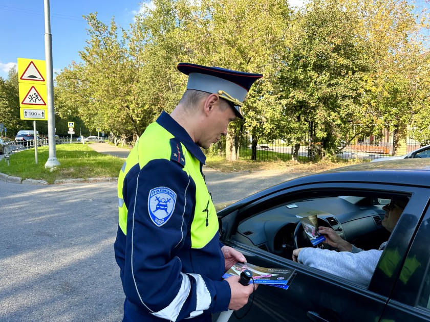 Госавтоинспекция Красногорска провела акцию «Ребенок – пассажир, пешеход»