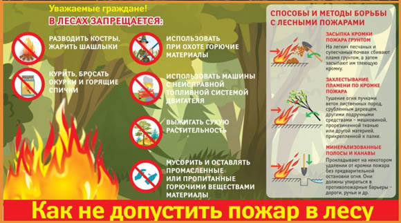 На всей территории Московской области введено ограничение пребывания граждан в лесах и въезда в них транспортных средств