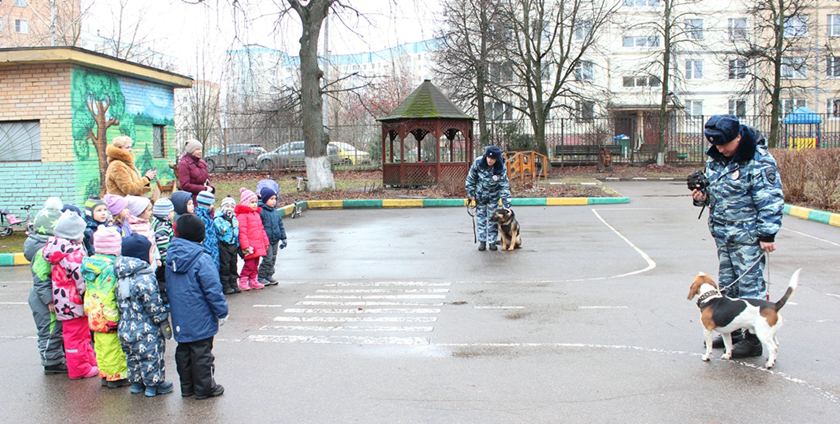 В Красногорске полицейские провели акцию «Моя профессия - кинолог»