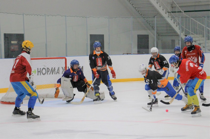 Красногорская команда по мини-хоккею с мячом «Зоркий ГСС» завоевала золото