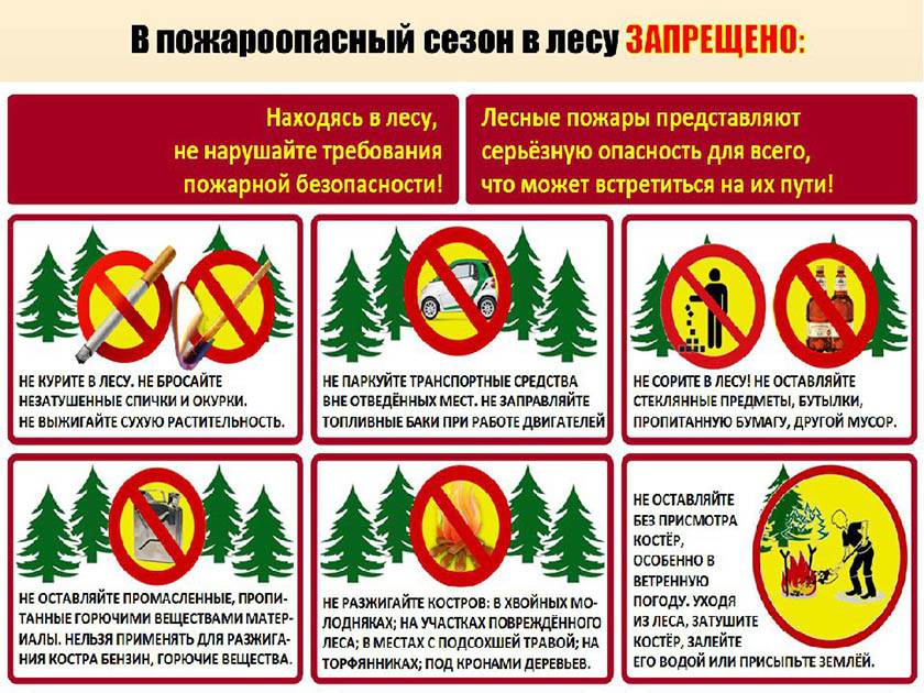 Соблюдайте правил пожарной безопасности в лесу