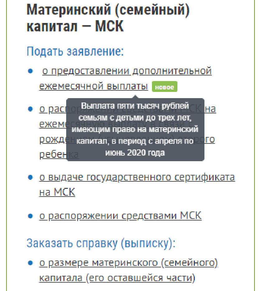 Как заполнить заявление о предоставлении выплаты в размере 5 000 рублей семьям с детьми до трёх лет
