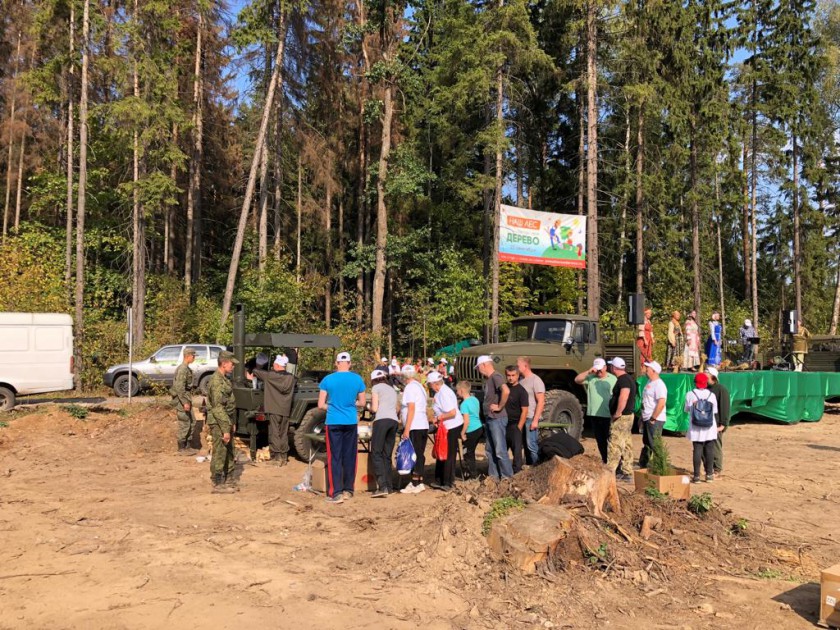 Порядка 24 тысяч саженцев сосны высадили в Красногорске в рамках акции «Наш лес»