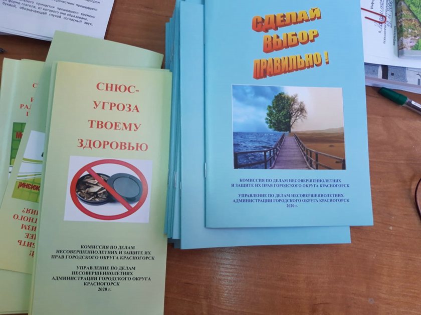 Единый день безопасности и профилактики правонарушений в Красногорске