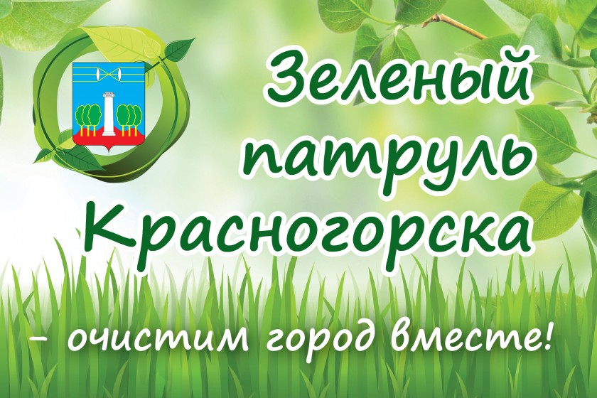 Более 30 мусорных свалок выявлено благодаря движению «Зеленый патруль Красногорска»