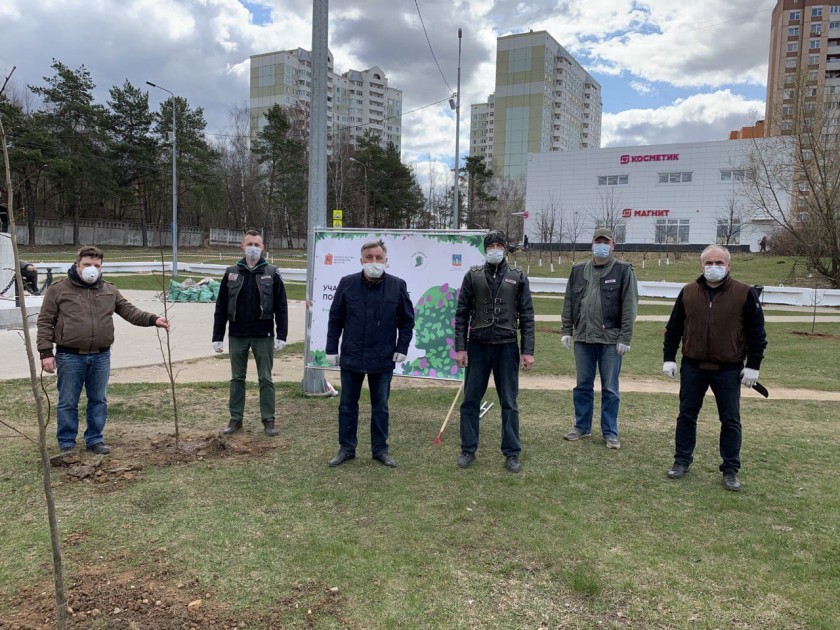 34 дерева высадили в Нахабино в память о героях Великой Отечественной войны