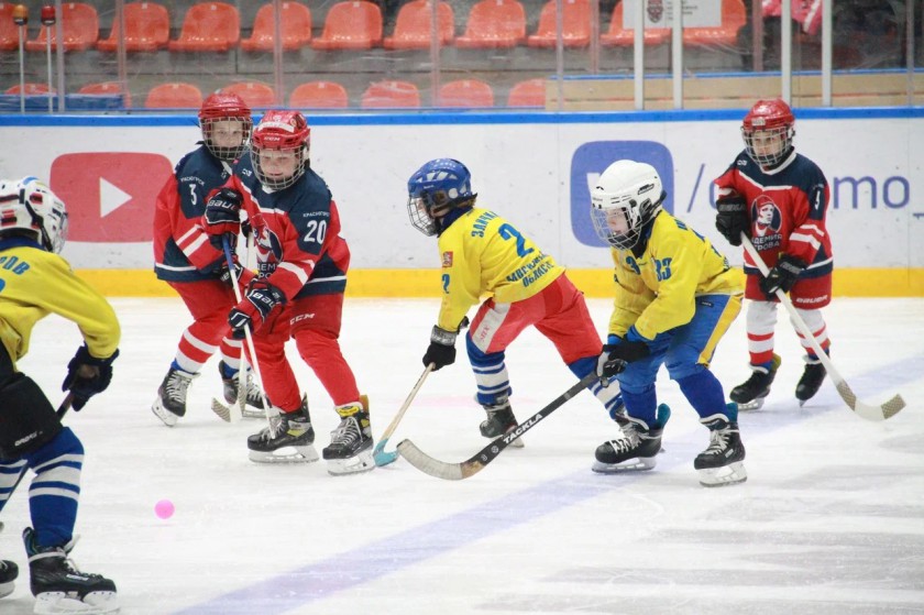 Всероссийский день хоккея отметили в Красногорске