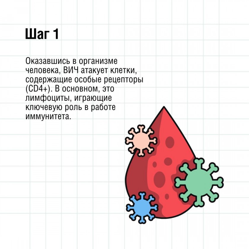 Как ведет себя ВИЧ в организме человека