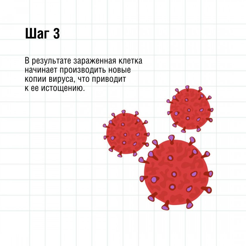 Как ведет себя ВИЧ в организме человека