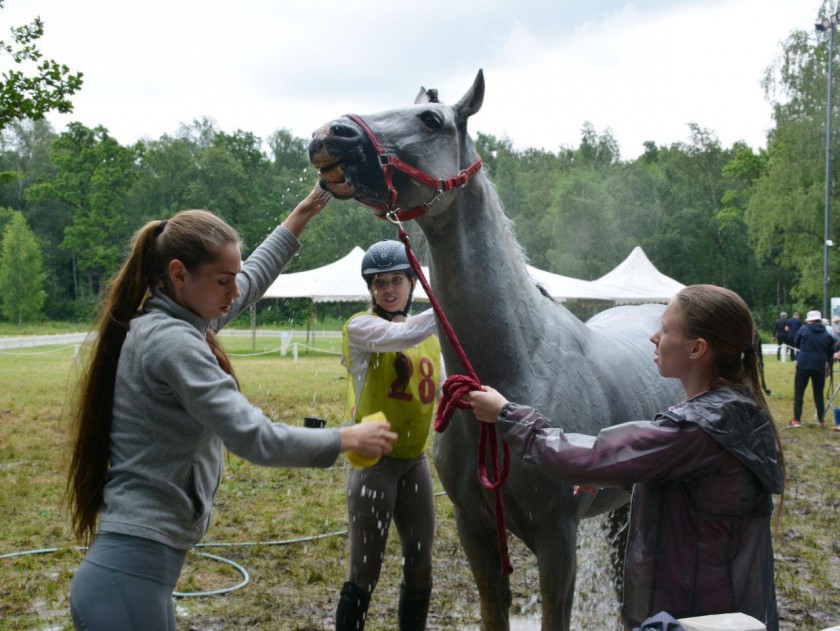 В Красногорске прошел турнир по конному спорту