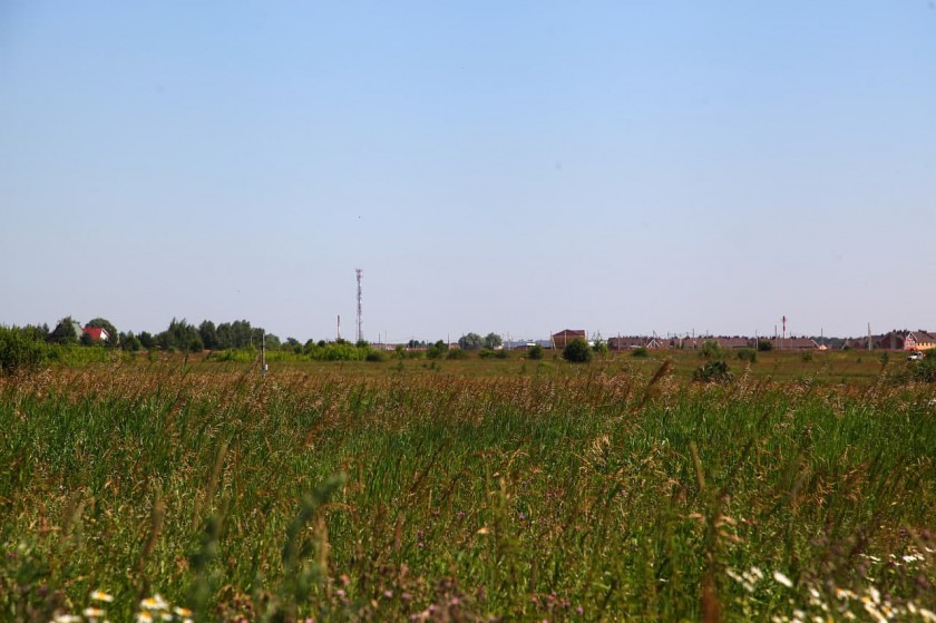Жители Нефедьево обеспокоены массовой продажей земельных участков