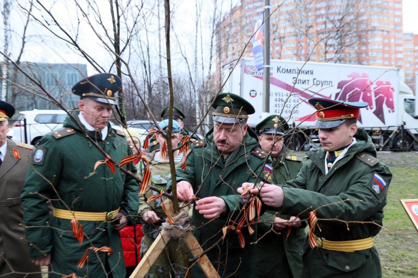 В Красногорске посадили дерево в память о погибшем воине