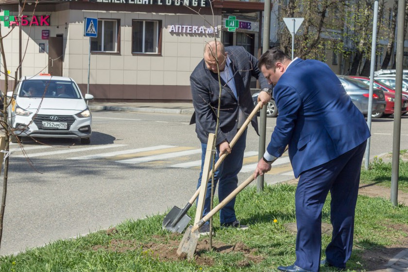 В Красногорске продолжается озеленение общественных пространств