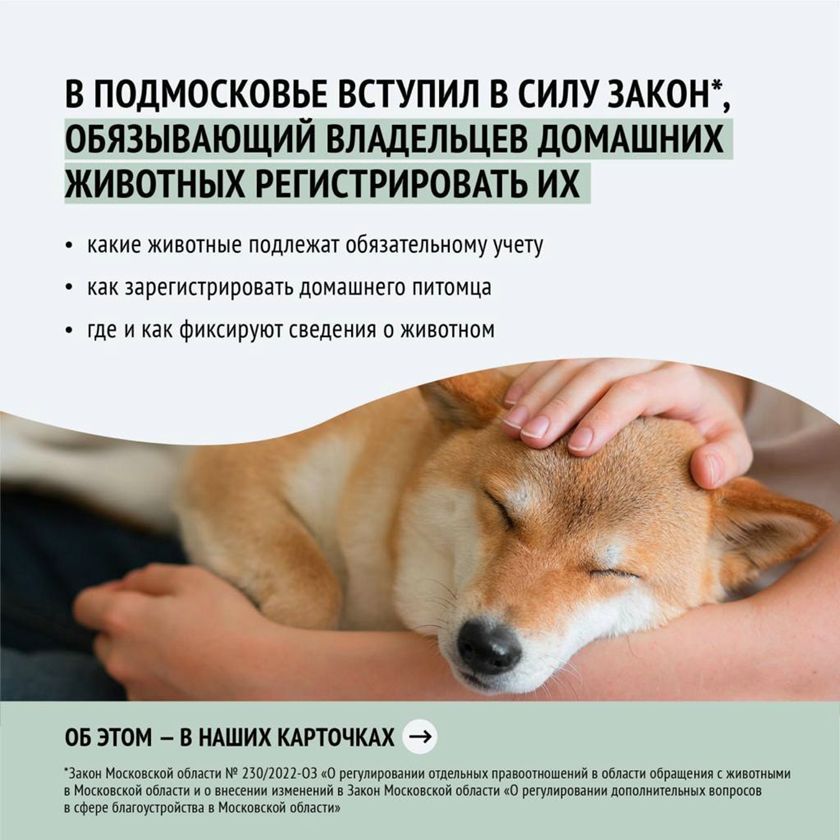 Как зарегистрировать домашнее животное в Московской области