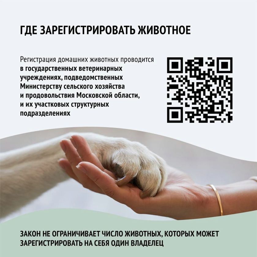 Как зарегистрировать домашнее животное в Московской области