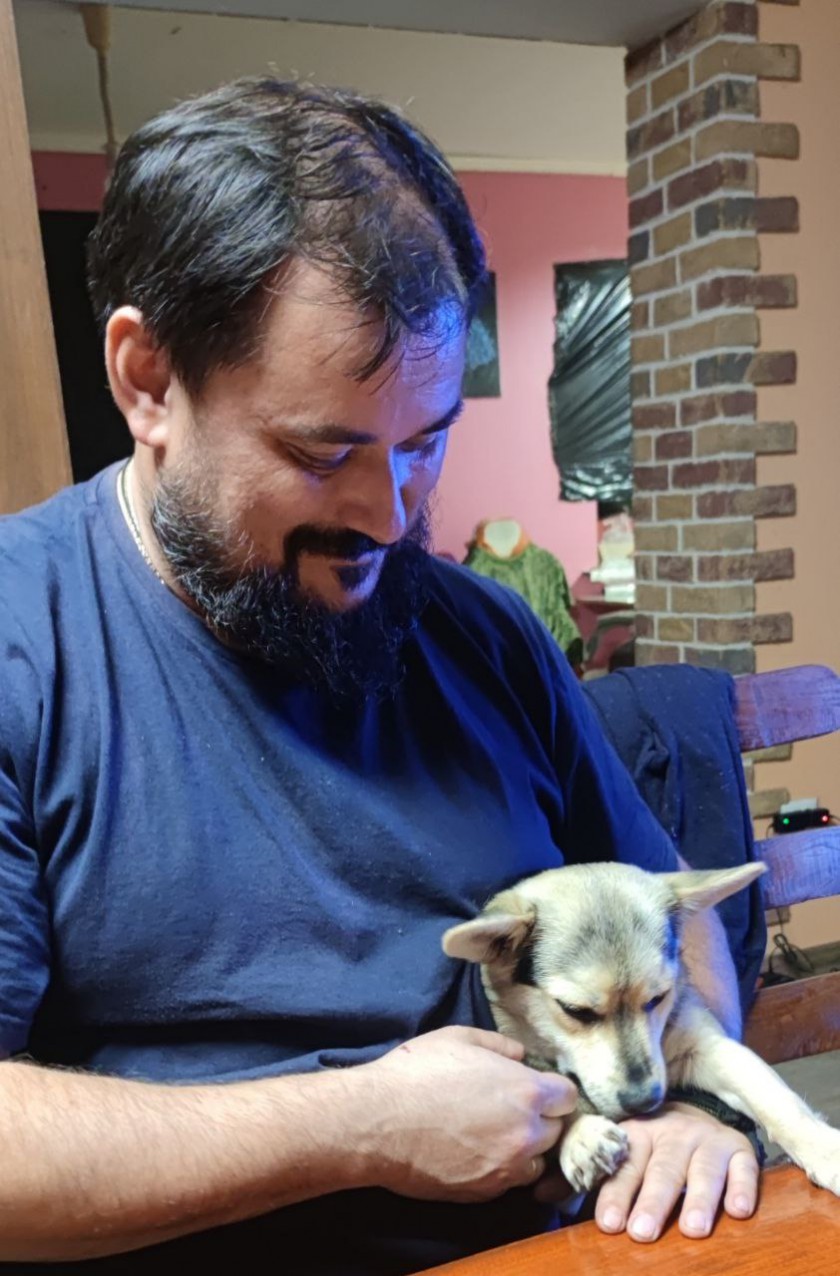 Преданный друг: история пса, который спас десятки жизней красногорских бойцов СВО