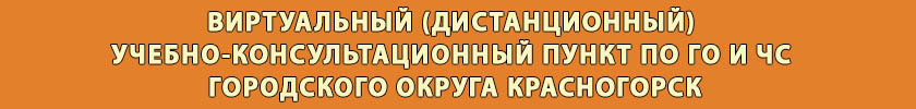 Виртуальный (дистанционный) учебно-консультационный пункт по ГО и ЧС городского округа Красногорск